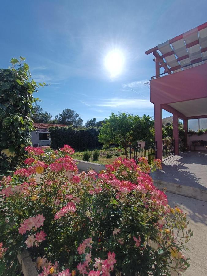 Apartman Brigita Apartment Biograd Na Moru Exterior photo